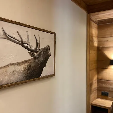 Wooden House “campo Smith”